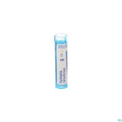 Hydrastis Canadensis 9ch Gr 4g Boiron