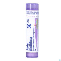 Apis Mellifica 30ch Gr 4g Boiron