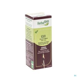 Herbalgem gui    macerat 15ml