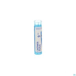 Lachesis Mutus 9ch Gr 4g Boiron