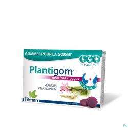 Plantigom    gommes 24