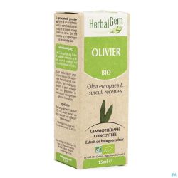 Herbalgem olivier    macerat 15ml