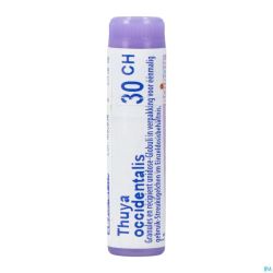 Thuya Occidentalis 30ch Gl Boiron