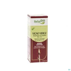 Herbalgem vigne vierge    macerat 15ml