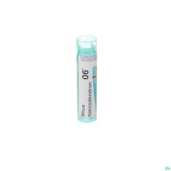 Rhus Toxicodendron 6k Gr 4g Boiron