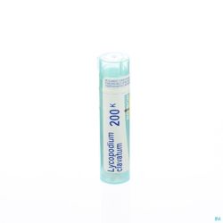 Lycopodium clavatum    200k gr 4g boiron