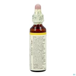 Bach flower remedie 36 wild oat    20ml