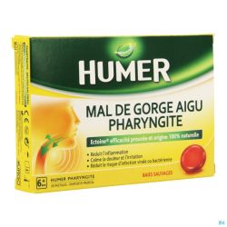 Humer pharyngite fruits rouges    past  20