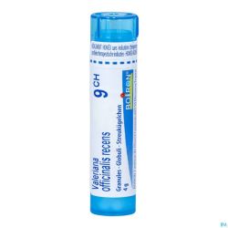 Valeriana Officinalis 9ch Gr 4g Boiron