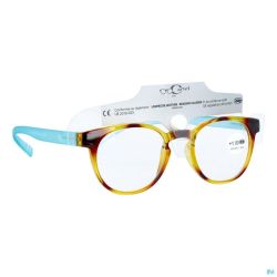 Cartel lunettes lecture kiss 1.5 asie