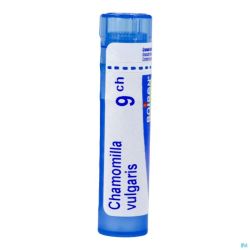 Chamomilla vulgaris    9ch gr 4g boiron