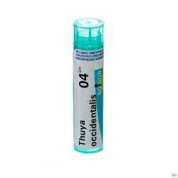 Thuya Occidentalis 4ch Gr 4g Boiron