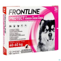 Frontline Protect Spot On Sol Chien 40-60kg Pipet3