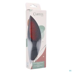 Cartel Brosse Pneumatique 100% Sanglier M