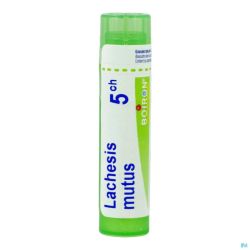 Lachesis mutus    5ch gr 4g boiron