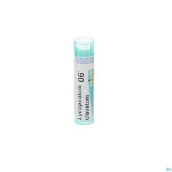 Lycopodium Clavatum 6k Gr 4g Boiron