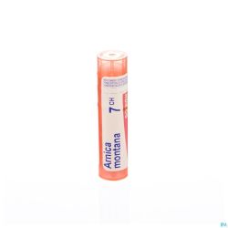 Arnica Montana 7ch Gr 4g Boiron