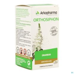 Arkogelules orthosiphon vegetal    45