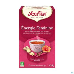 Yogi the energie feminine bio    sach 17