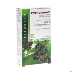 Fytostar pycnogenol    caps 30 7587