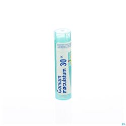 Conium Maculatum 30k Gr 4g Boiron