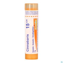 Cinnabaris 15ch Gr 4g Boiron