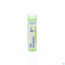 Rhus toxicodendron    5ch gr 4g boiron