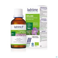 Ladrome epilobium parviflorum/epilobe 50ml