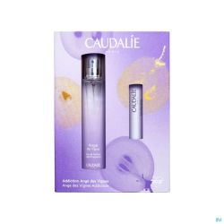 Caudalie Coffret Noel Eau Parfum Ange Vignes 2prod