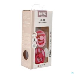 Bibs 2 sucette studio duo block baby pink
