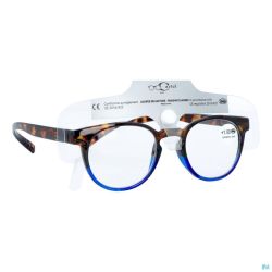 Cartel lunettes lecture rendez-vous 3 asie
