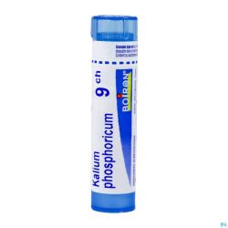 Kalium Phosphoricum 9ch Gr 4g Boiron