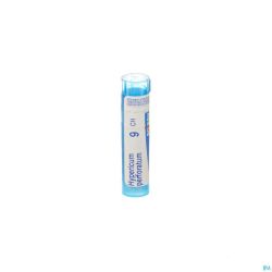 Hypericum Perforatum 9ch Gr 4g Boiron