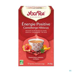 Yogi the energie positive bio    sach 17