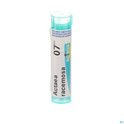 Actaea Racemosa 7ch Gr 4g Boiron