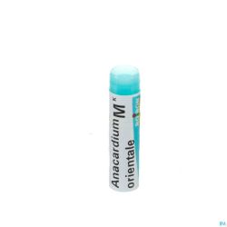 Anacardium Orientale Mk Gl Boiron