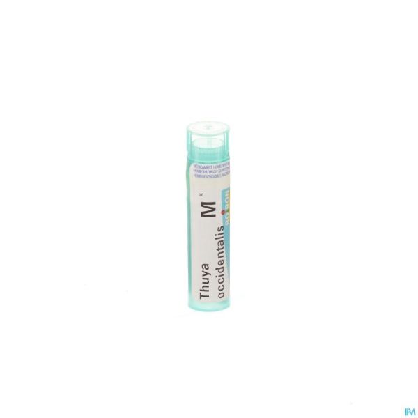 Thuya Occidentalis Mk Gr 4g Boiron