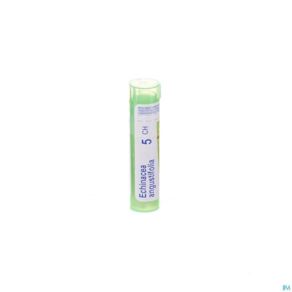 Echinacea Angustifolia 5ch Gr 4g Boiron