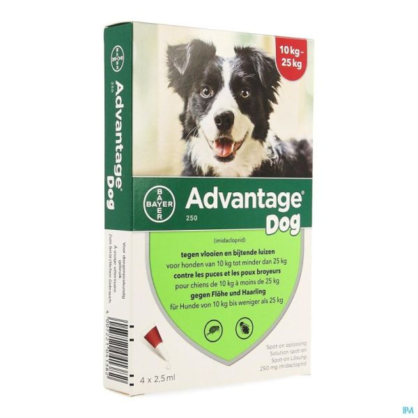 Advantage 250 chiens 10<25kg  4x2,5ml