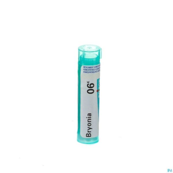 Bryonia 6k Gr 4g Boiron
