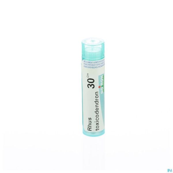 Rhus Toxicodendron 30ch Gr 4g Boiron