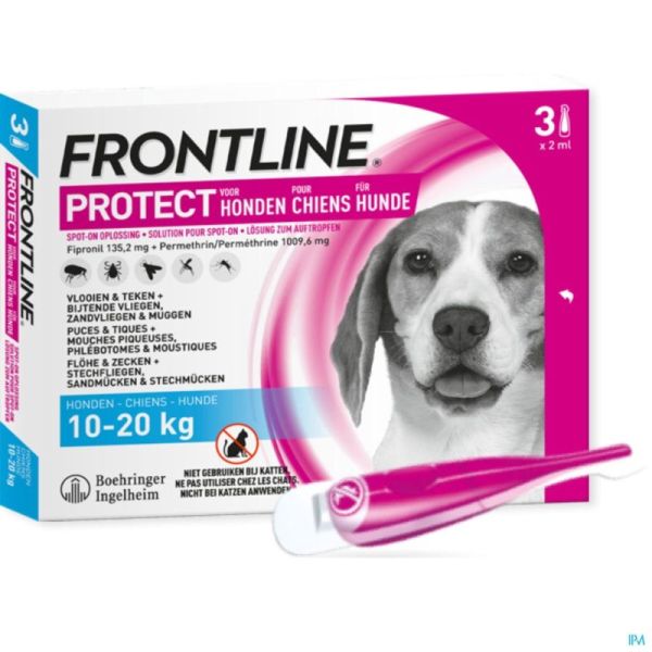 Frontline protect spot on sol chien 10-20kg pipet3