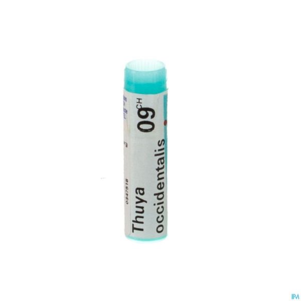 Thuya Occidentalis 9ch Gl Boiron