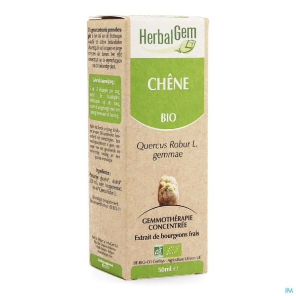 Herbalgem chene    macerat 50ml