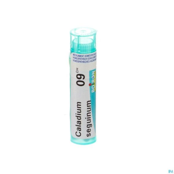 Caladium Seguinum 9ch Gr 4g Boiron