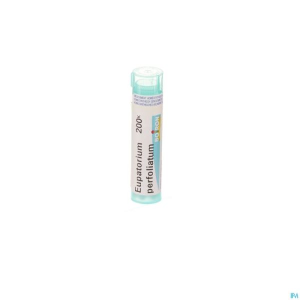Eupatorium Perfoliatum 200k Gr 4g Boiron
