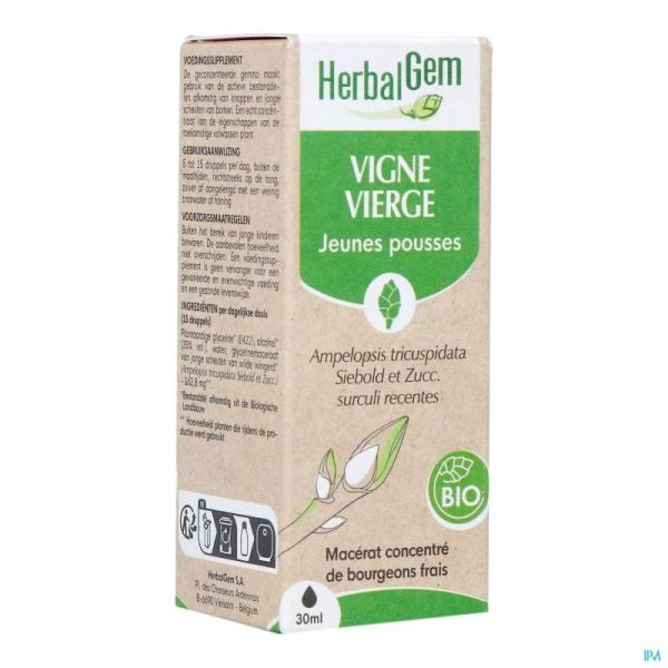 Herbalgem vigne vier bio    30ml