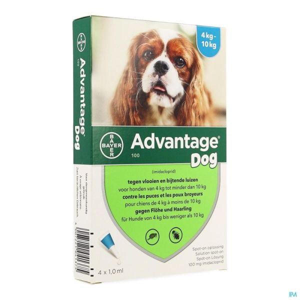 Advantage 100 chiens 4<10kg  4x1,0ml