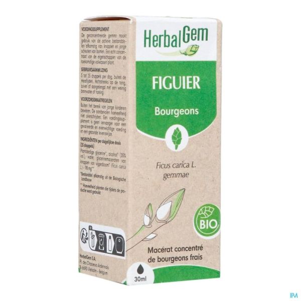 Herbalgem figuier bio    30ml