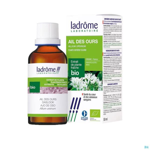 Ladrome allium ursinum/ail ours 50ml